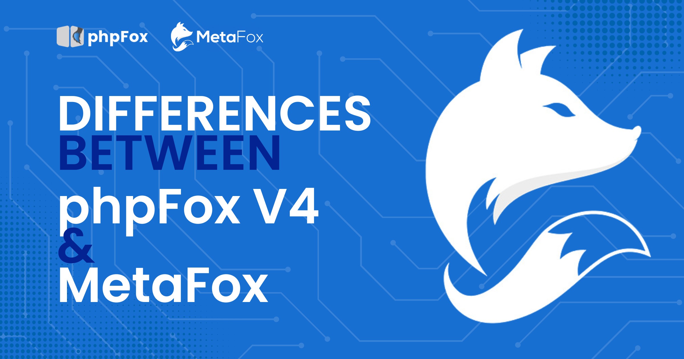 Explore the differences between phpFox V4 and V5 (MetaFox)